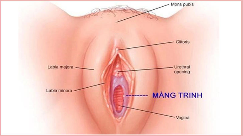 Gái còn trinh có mùi đặc trưng? Gallery 2
