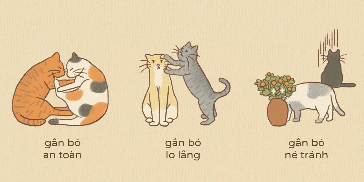 Gắn bó là gì? Gallery 2