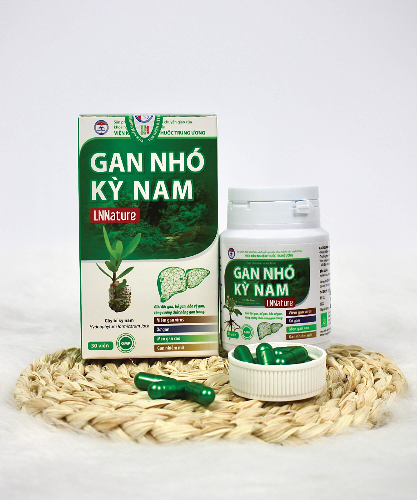 Gan Nhỏ Kỳ Nam