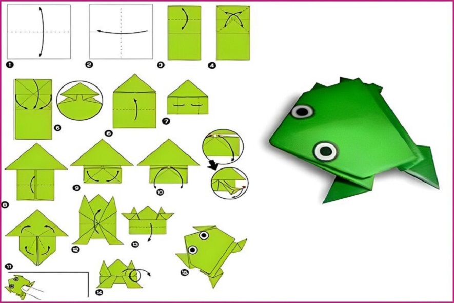 Gấp Con Ếch Mầm Non