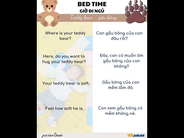 What is a Stuffed Animal in English?