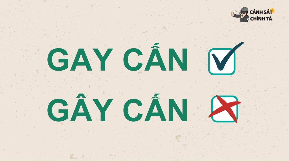 Gay cấn: Những bí mật đằng sau sự hồi hộp nghẹt thở