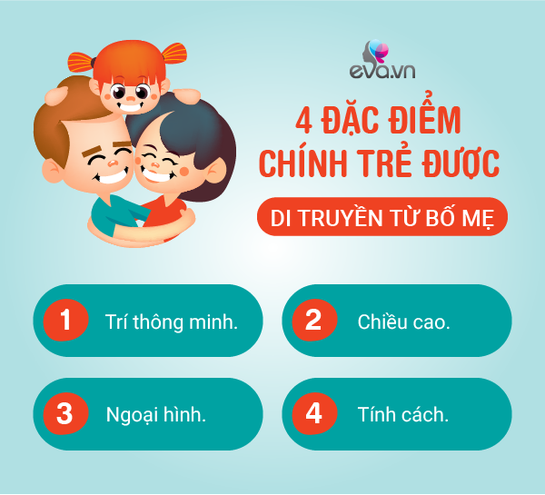 Chiều cao di truyền từ bố hay mẹ? Gallery 1