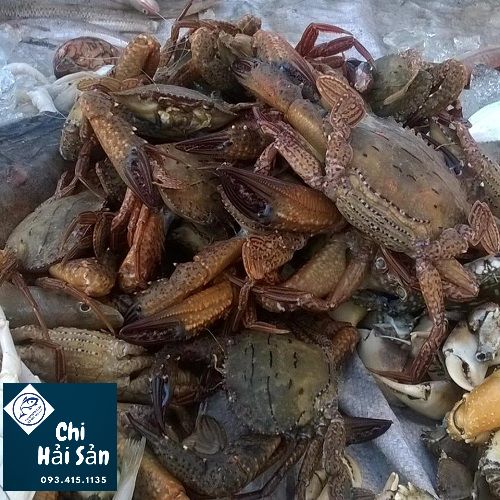 Ghẹ đá có ngon không?