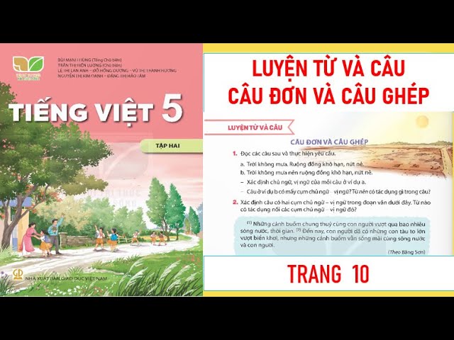 Ghi nhớ câu ghép lớp 5: Bí quyết chinh phục ngữ pháp