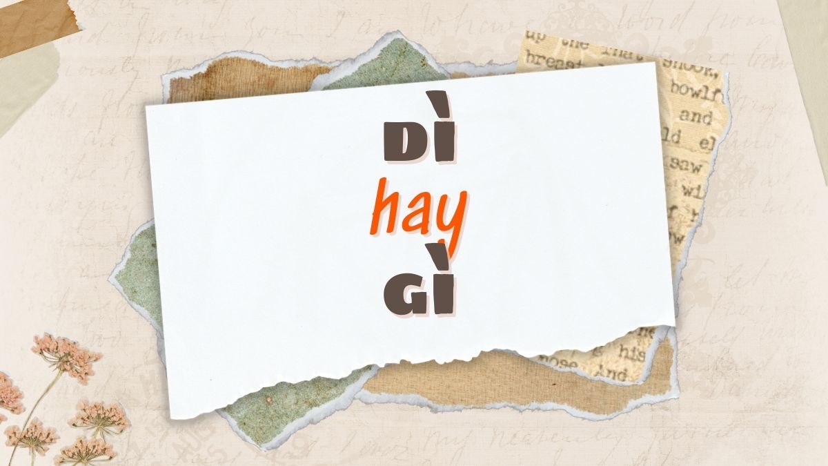 Gì Hay Dì? Khám Phá Những Điều Thú Vị Và Hấp Dẫn