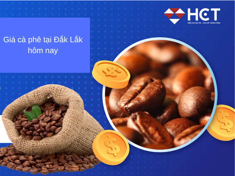 Giá cà phê Đắk Lắk hôm nay
