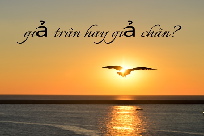 Giả Chân Hay Giả Trân? Sự Khác Biệt Và Ý Nghĩa Gallery 1