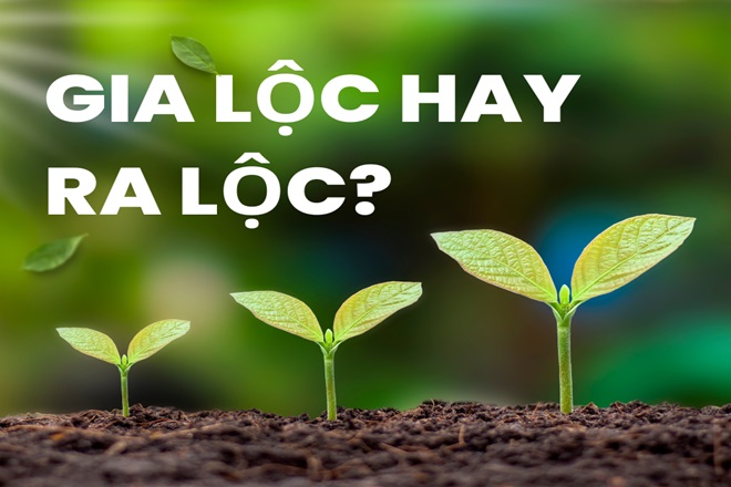 Gia lộc cho khách là gì?
