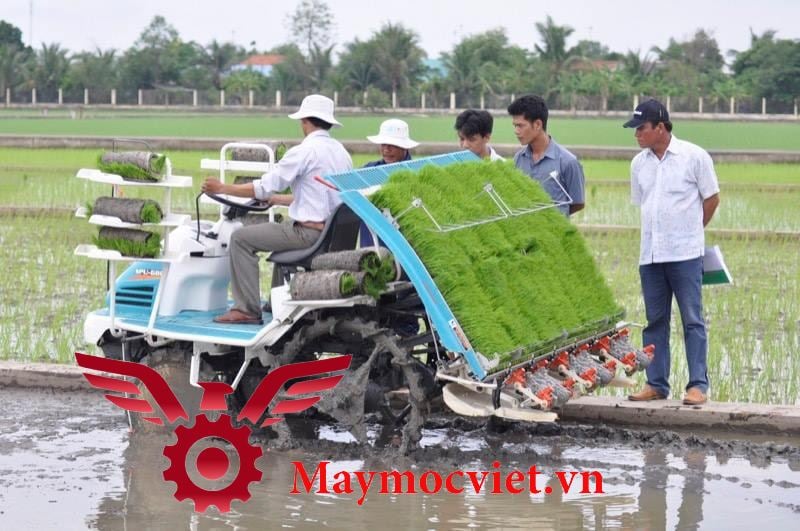 Giá Máy Cấy Lúa Mới Nhất Năm 2024