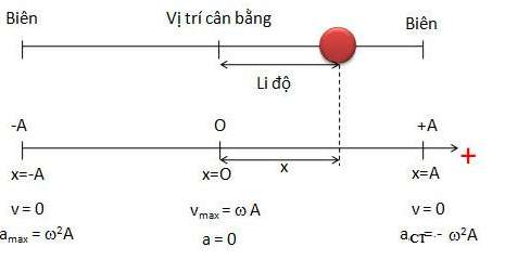 Gia tốc của vật dao động điều hòa bằng không khi nào?