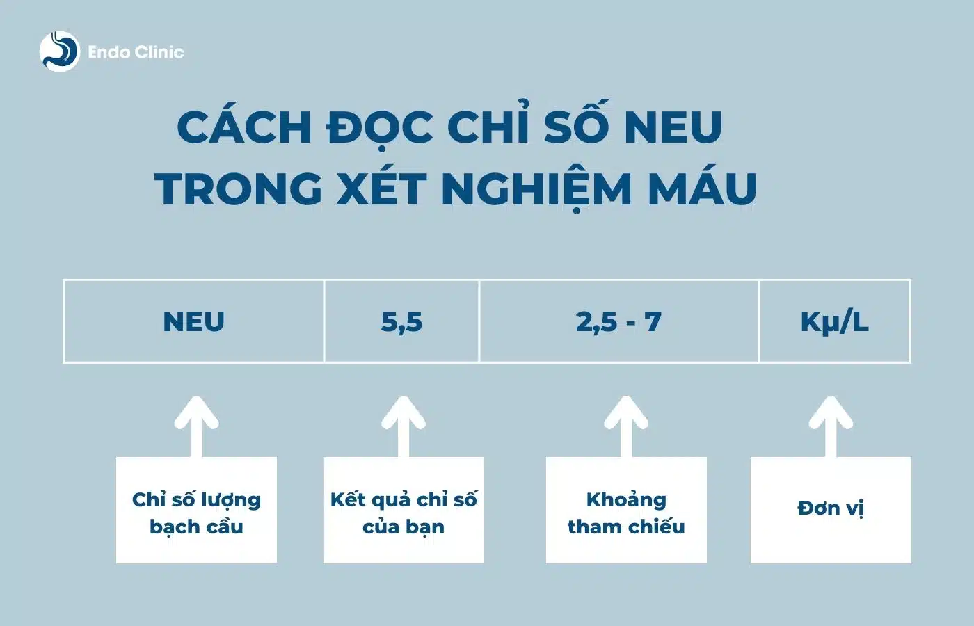 Công thức máu NEU là gì? Gallery 2