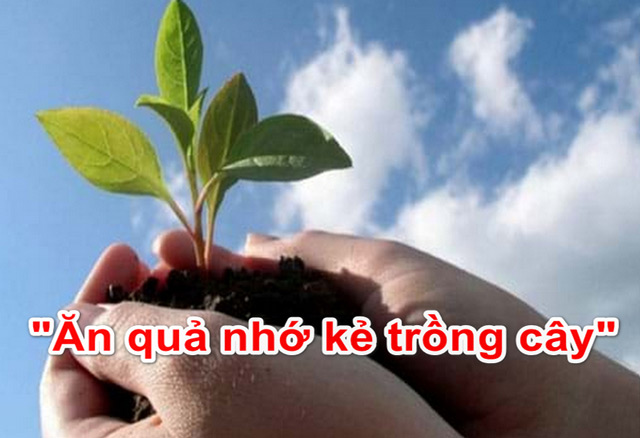 Phân tích câu tục ngữ "Ăn quả nhớ kẻ trồng cây" Gallery 2