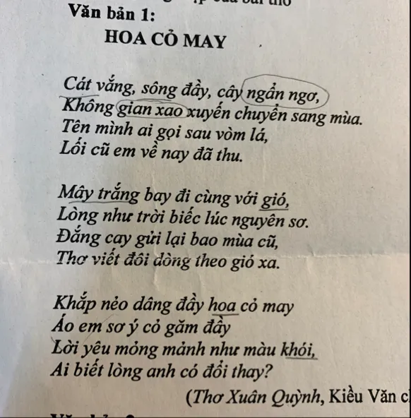 Đọc Hiểu Hoa Cỏ May Gallery 2
