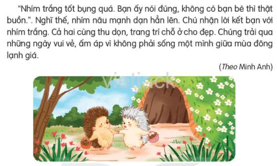Vì sao Nhím Nâu lại cho rằng không có bạn bè thì thật buồn? Gallery 2