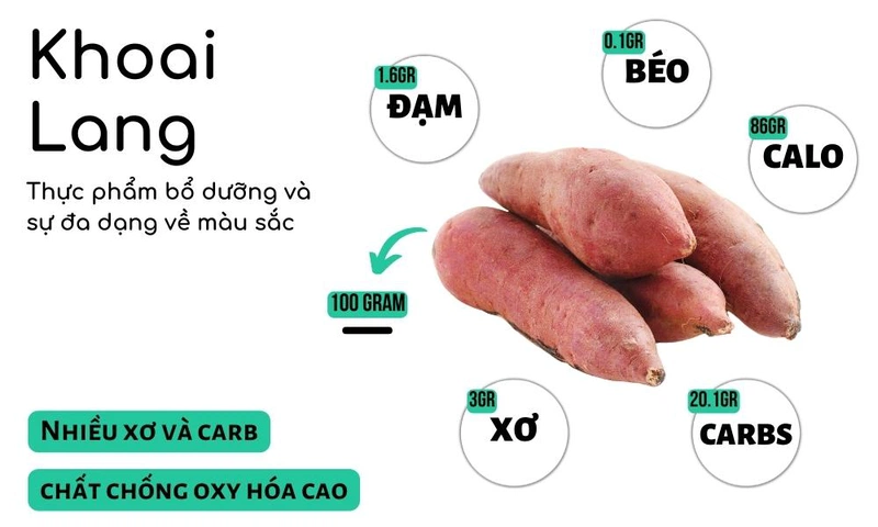 Khoai Đồng: Nguồn dinh dưỡng và công dụng tuyệt vời Gallery 1