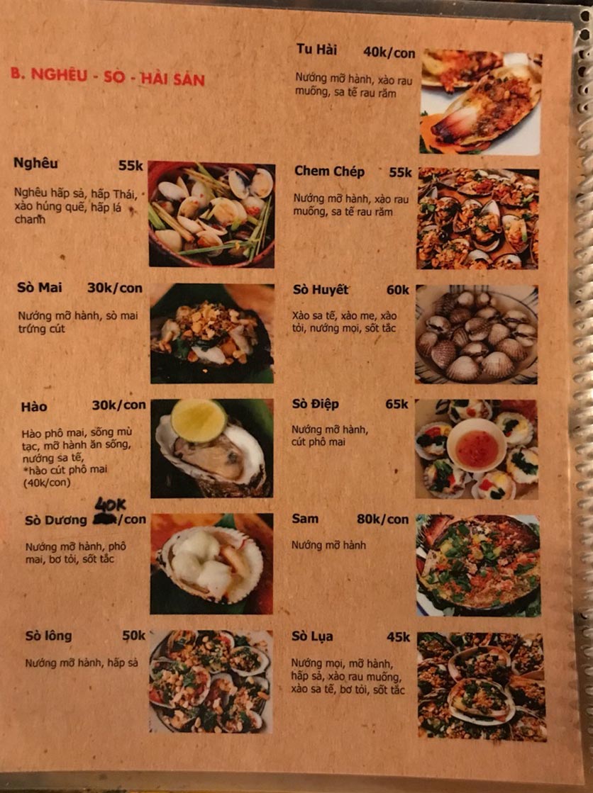 Ốc Chị Em Hồ Con Rùa Gallery 2