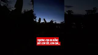 Thương Cha Ra Đồng Bắt Con Tép Con Tôm Gallery 2