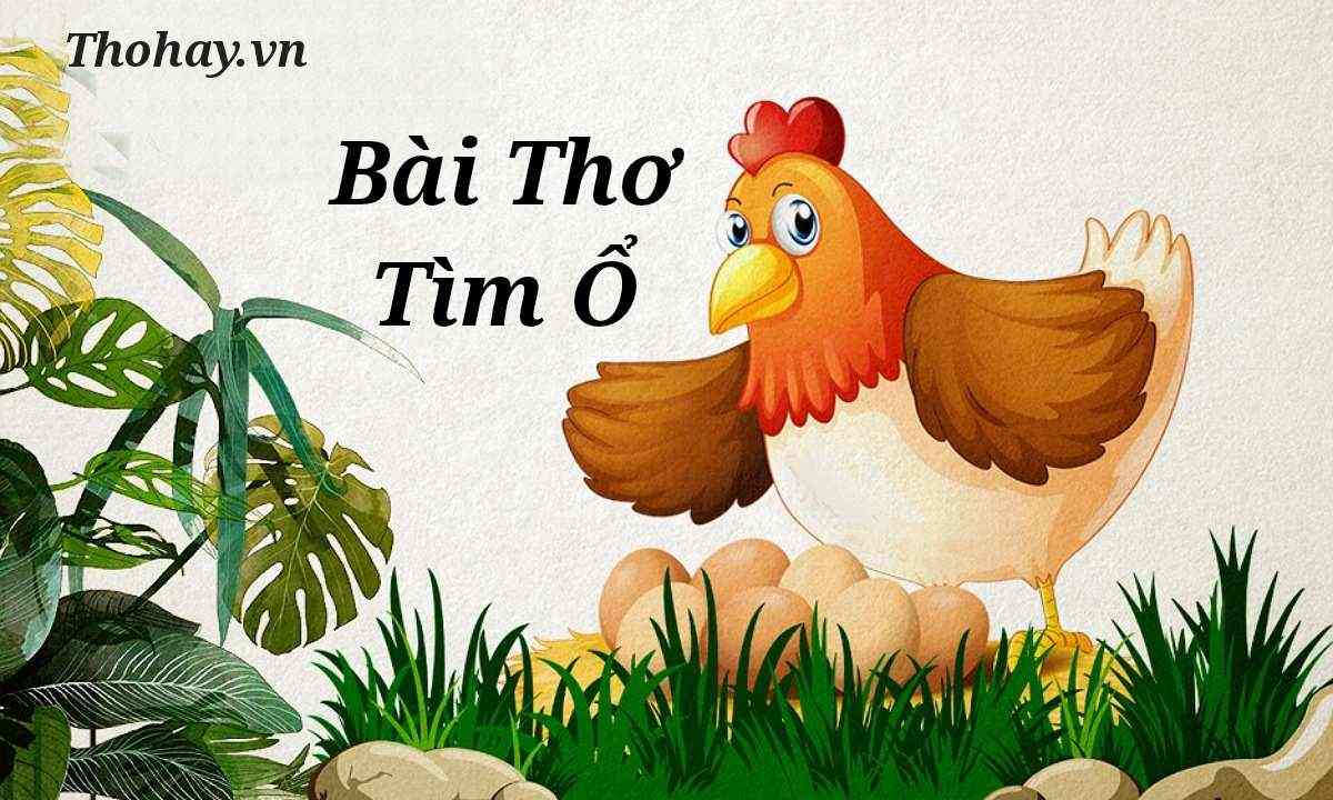 Bài thơ Tìm ổ Gallery 2
