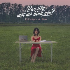 Bao nhiêu tiền một mớ bình yên? Gallery 1