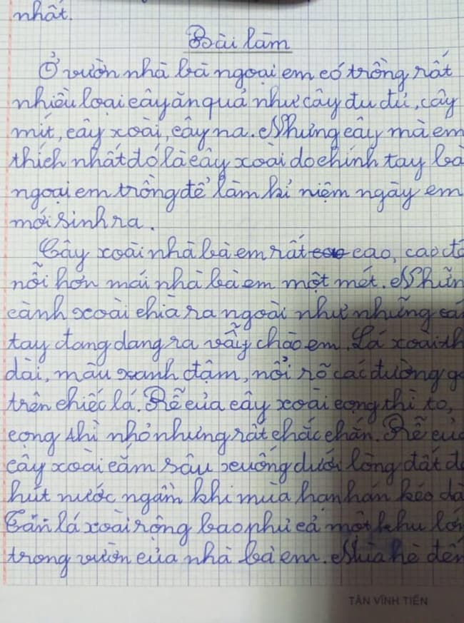 Giải Bài Cây Xoài Lớp 4