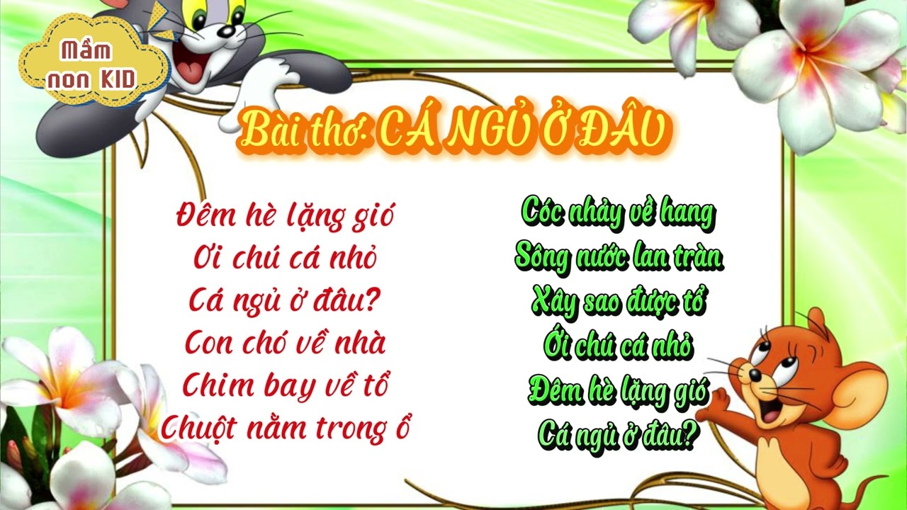 Cá ngủ ở đâu? Gallery 1
