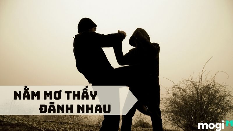 Chiêm Bao Thấy Đánh Lộn: Điềm Báo Gì? Giải Mã Giấc Mơ Đánh Nhau Gallery 1