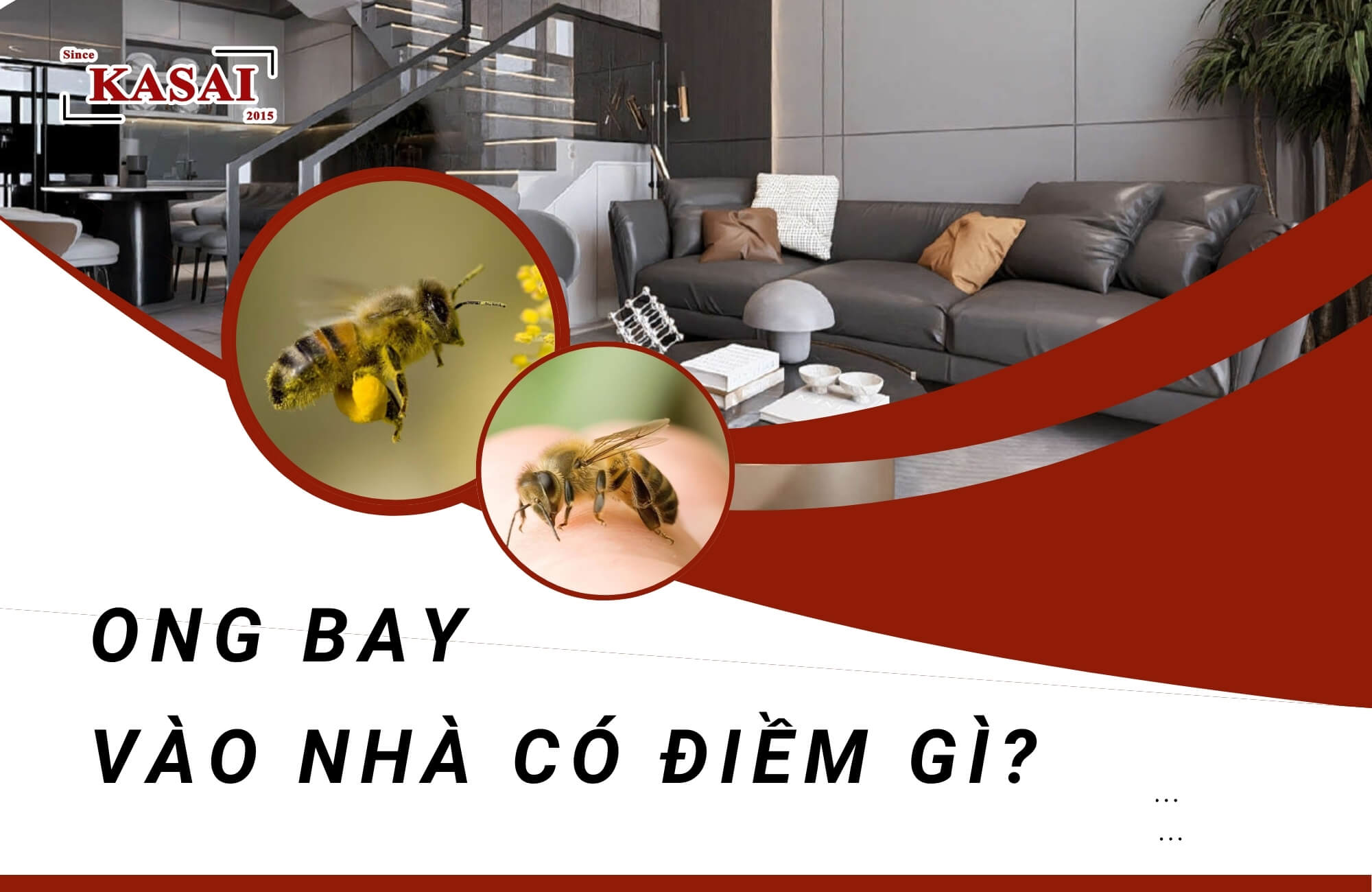 Ong bay quanh người là điềm gì? Gallery 1