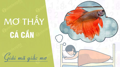 Thấy Cá Trên Cạn Đánh Con Gì? Gallery 1