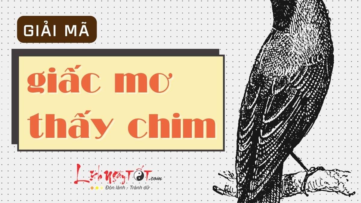 Mơ Bắt Được Chim Chào Mào: Điềm Báo Giàu Sang Hay Xui Xẻo? Gallery 1
