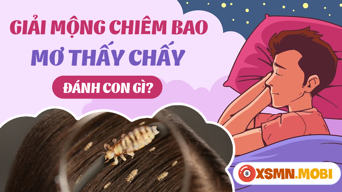 Ngủ mơ bắt được con chai chai Gallery 1
