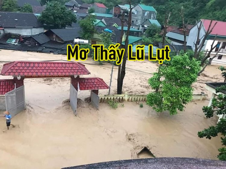 Mơ lũ lụt đánh con gì? Gallery 1