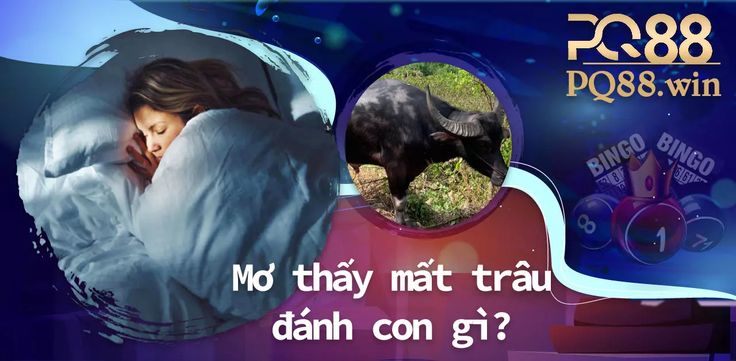 Ngủ mơ mất trâu đánh con gì? Gallery 1