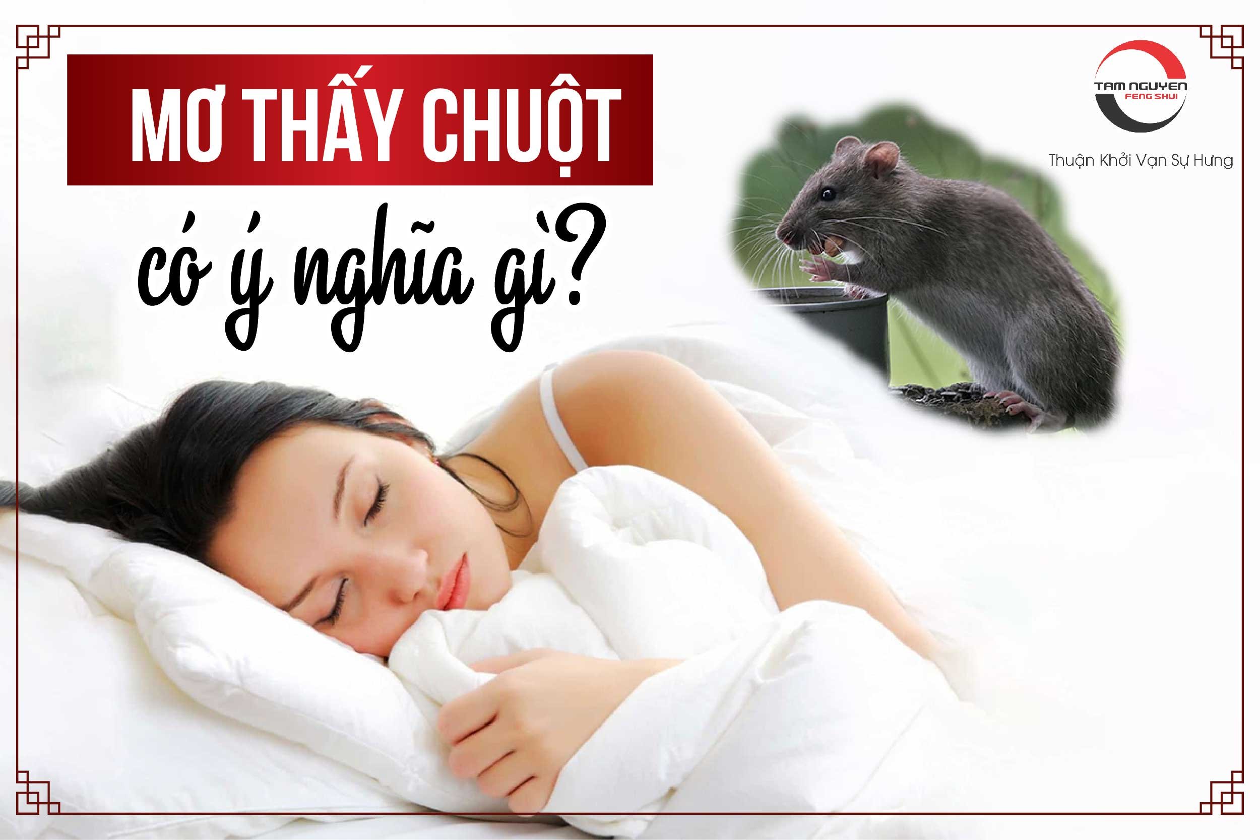 Nằm Mơ Thấy 2 Con Chuột Là Điềm Gì? Giải Mã Giấc Mơ Chuột Chính Xác Gallery 1