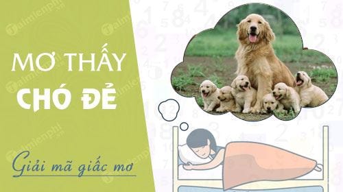 Nằm Mơ Thấy Chó Đẻ: Điềm Báo Giàu Sang Hay Xui Xẻo? Gallery 1