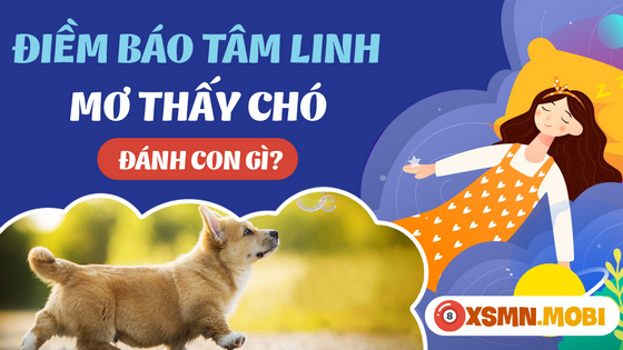 Số đề con chó số mấy? Gallery 1