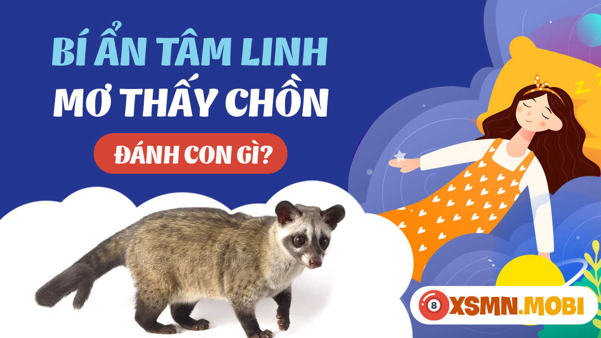 Nằm mơ thấy con chồn đánh số mấy? Gallery 1