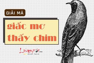 Sổ Mơ Con Vật: Giải Mã Giấc Mơ Và Con Số May Mắn Gallery 1