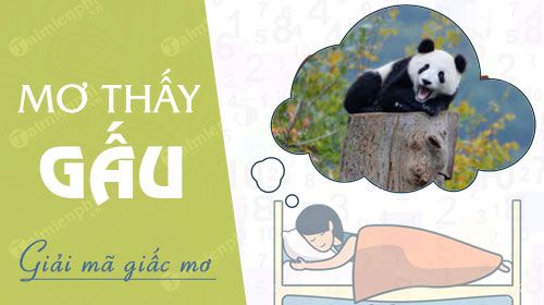 Nằm Mơ Thấy Gấu Đen: Điềm Báo Hay Cảnh Báo? Gallery 1