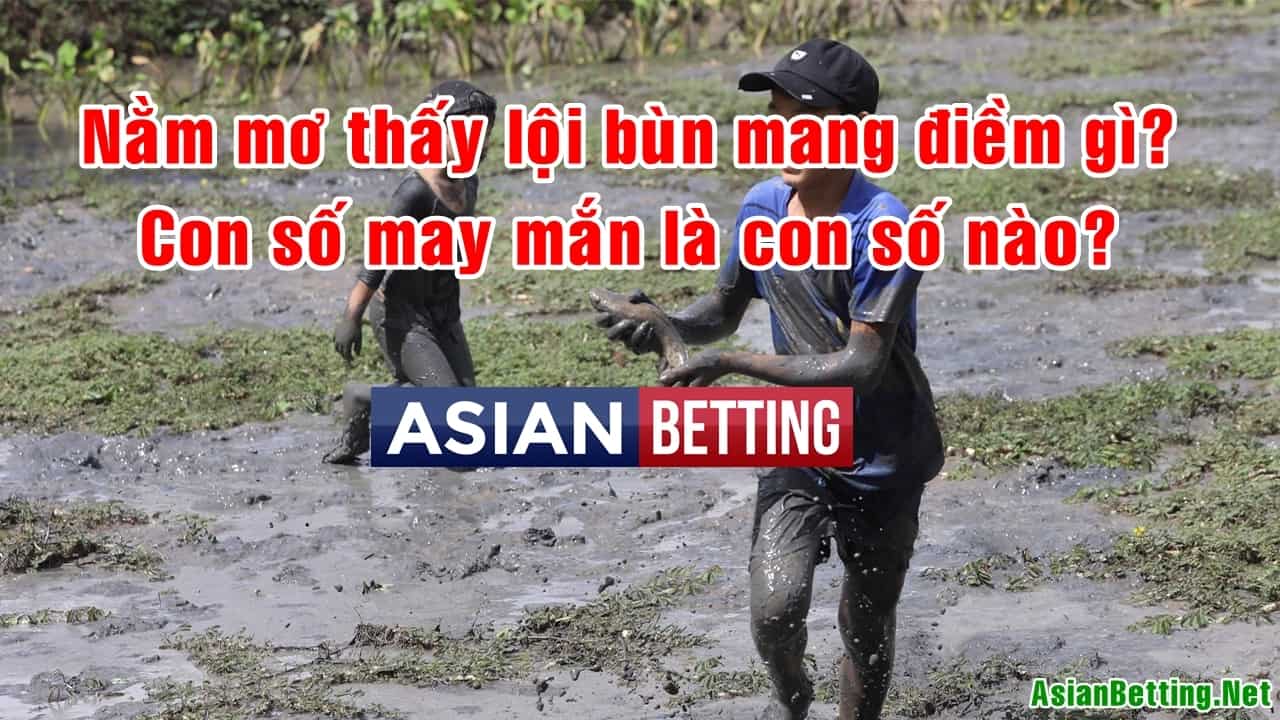 Mơ Thấy Lội Bùn: Điềm Báo Gì? Giải Mã Chi Tiết Gallery 2