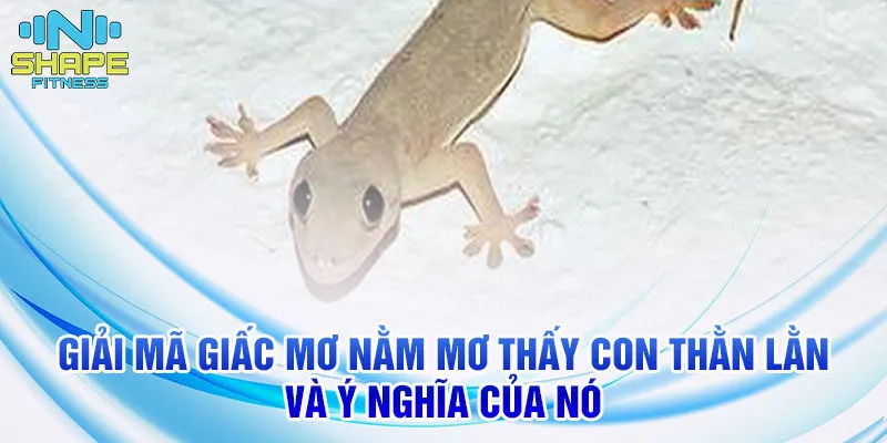 Nằm Mơ Thấy Thằn Lằn: Điềm Báo Gì? Gallery 1