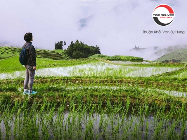 Mơ về quê gặp người thân báo hiệu điều gì? Gallery 1