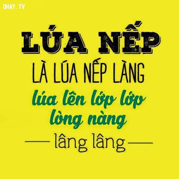 Lúa nếp non lúa lên lớp lớp lòng nàng lâng lâng Gallery 1