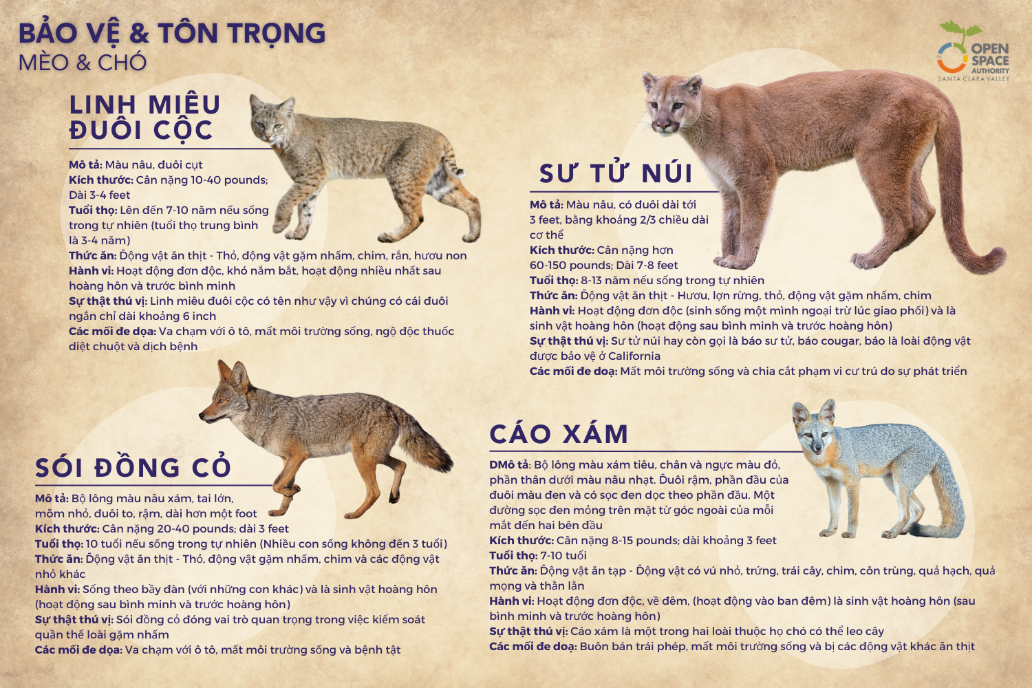 Bảo vệ động vật quý hiếm Gallery 2