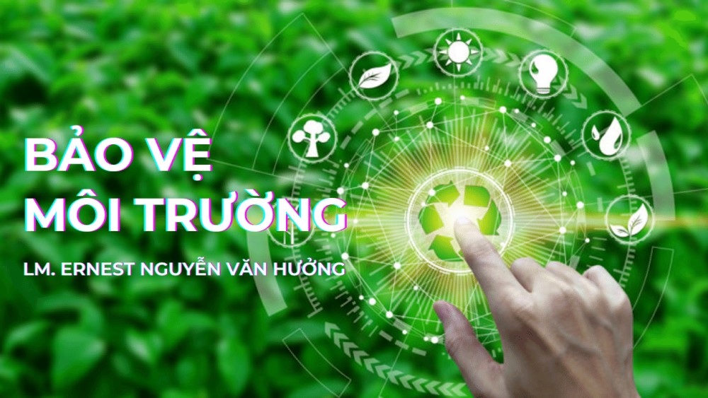 Tầm quan trọng của việc bảo vệ môi trường trong thời đại hiện nay Gallery 2