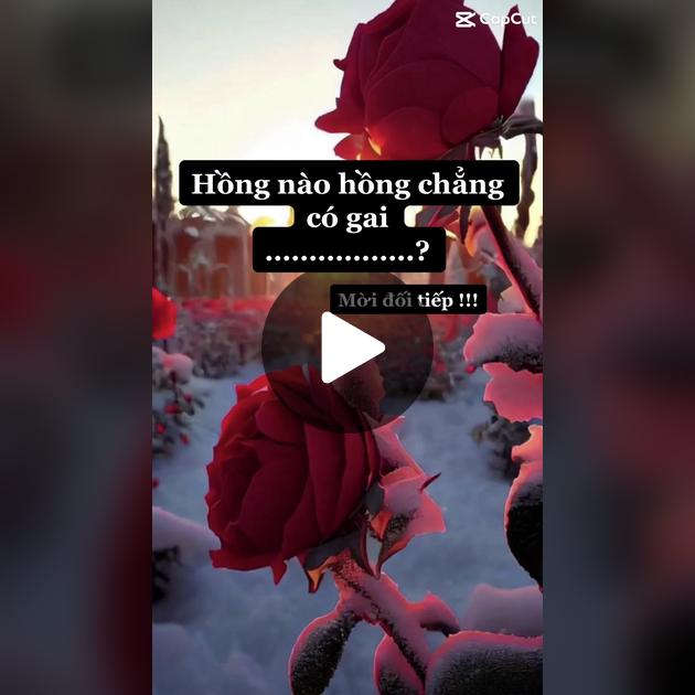 Hồng nào mà chẳng có gai? Gallery 1