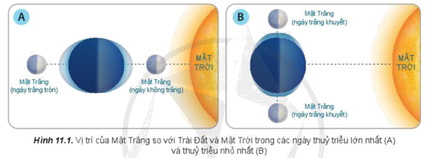 Giải thích hiện tượng thủy triều