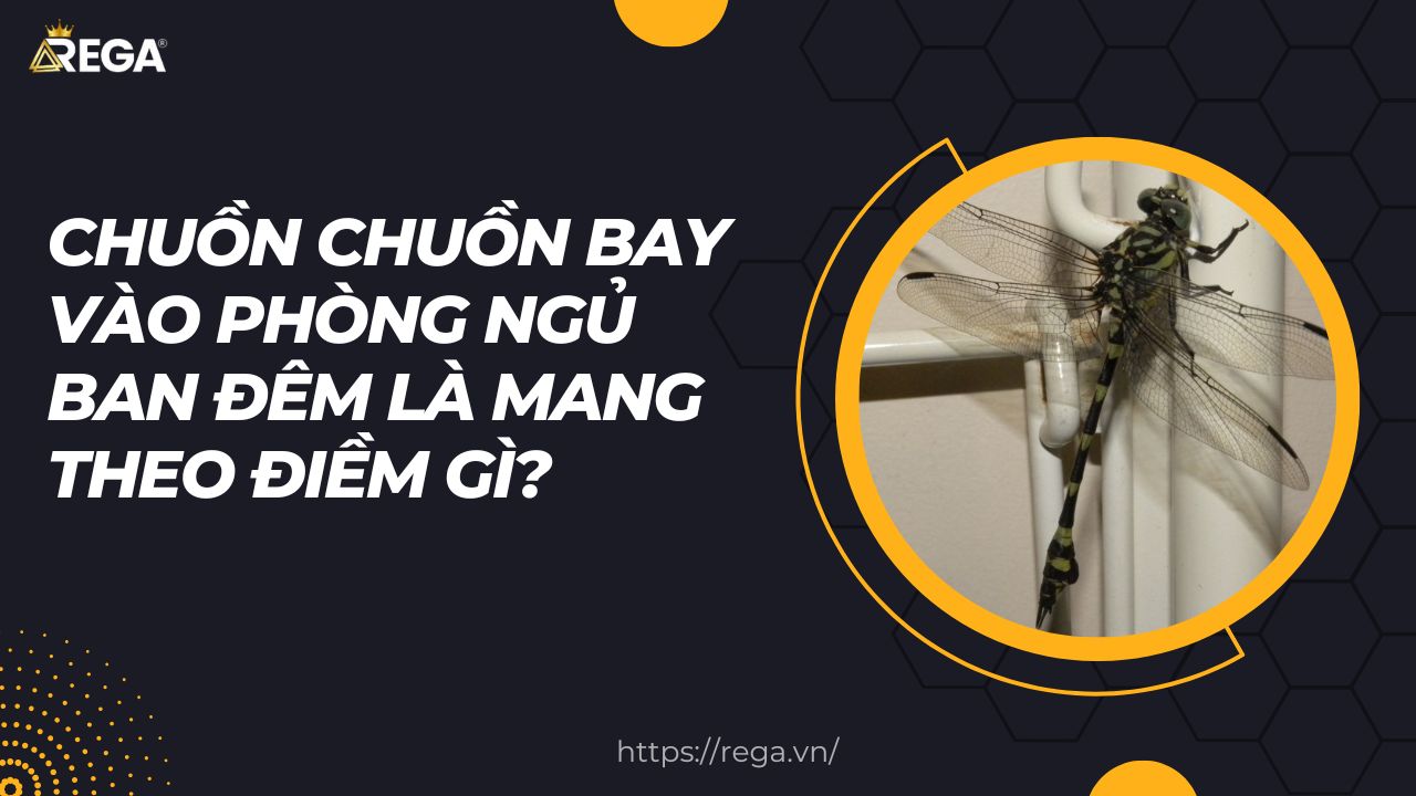 Chuồn Chuồn Bay Vào Phòng Ngủ: Điềm Báo Hay Ngẫu Nhiên? Gallery 2