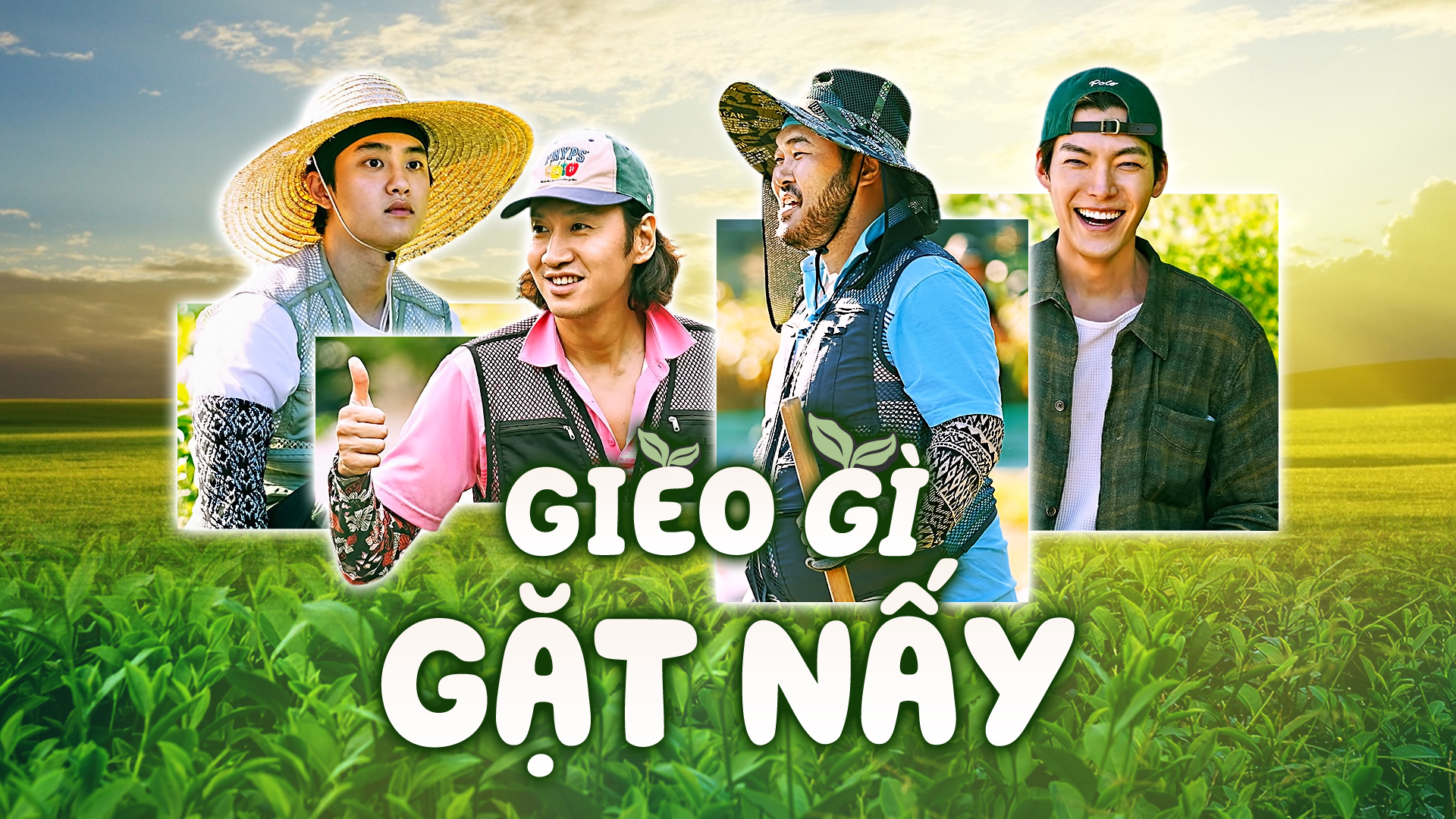 Gieo gì gặt đó