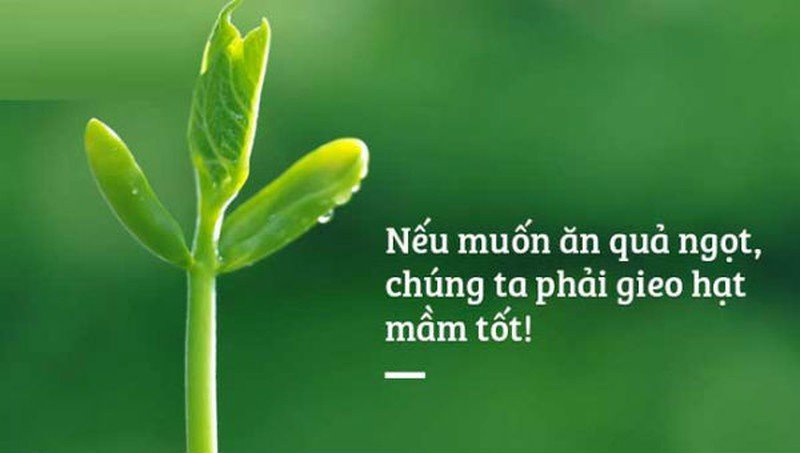 Gieo gì gặt đó Gallery 2